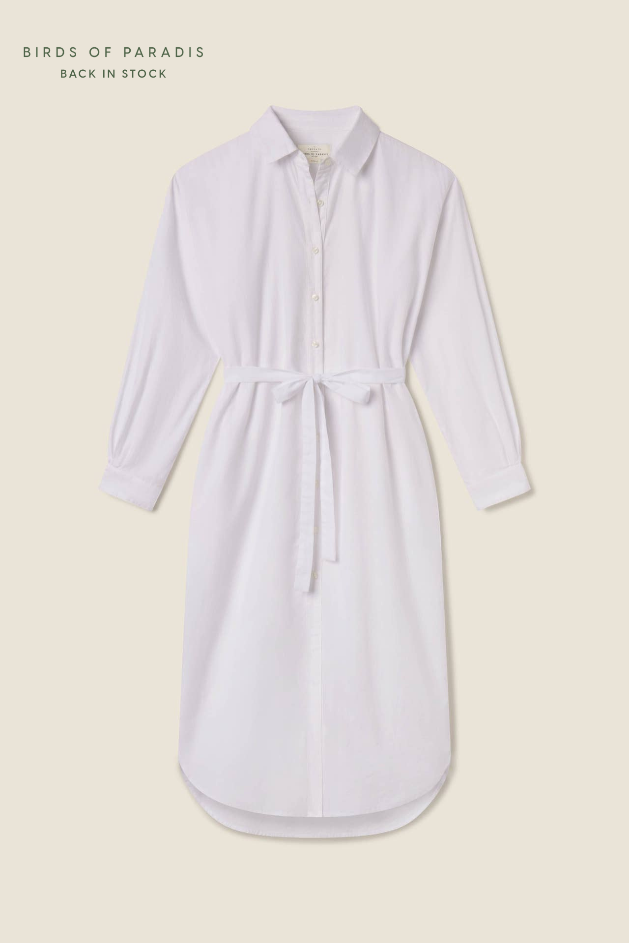 Catalina Shirtdress White Cotton Twill Catalina Shirtdress White Cotton Twill
