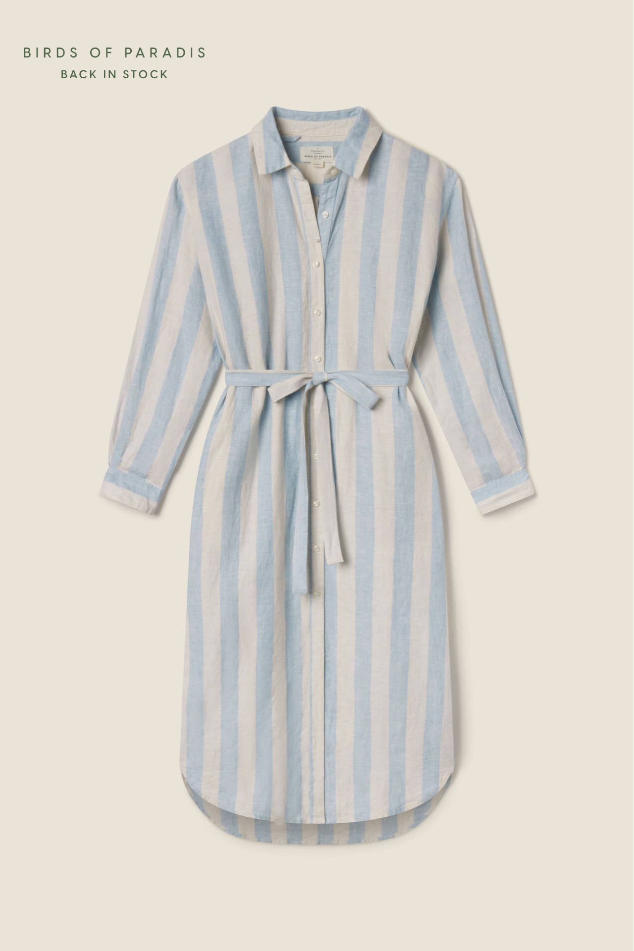 Catalina Shirtdress Seaside Stripe
