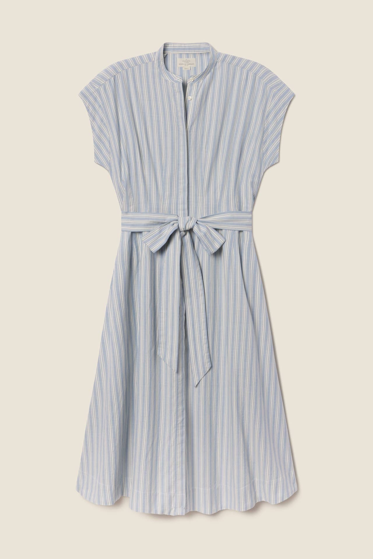 James Dress Blue Oxford Stripe