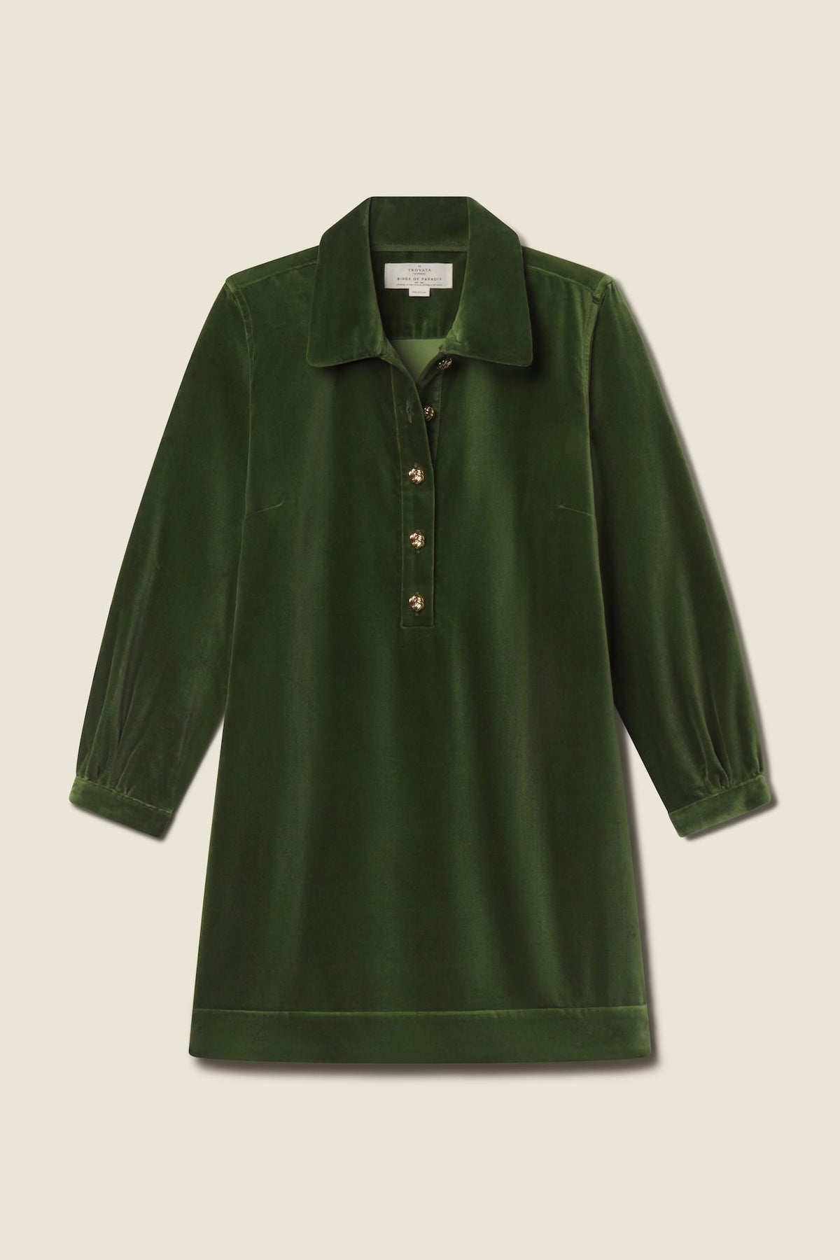 Trovata Odette dress in Fern, cotton