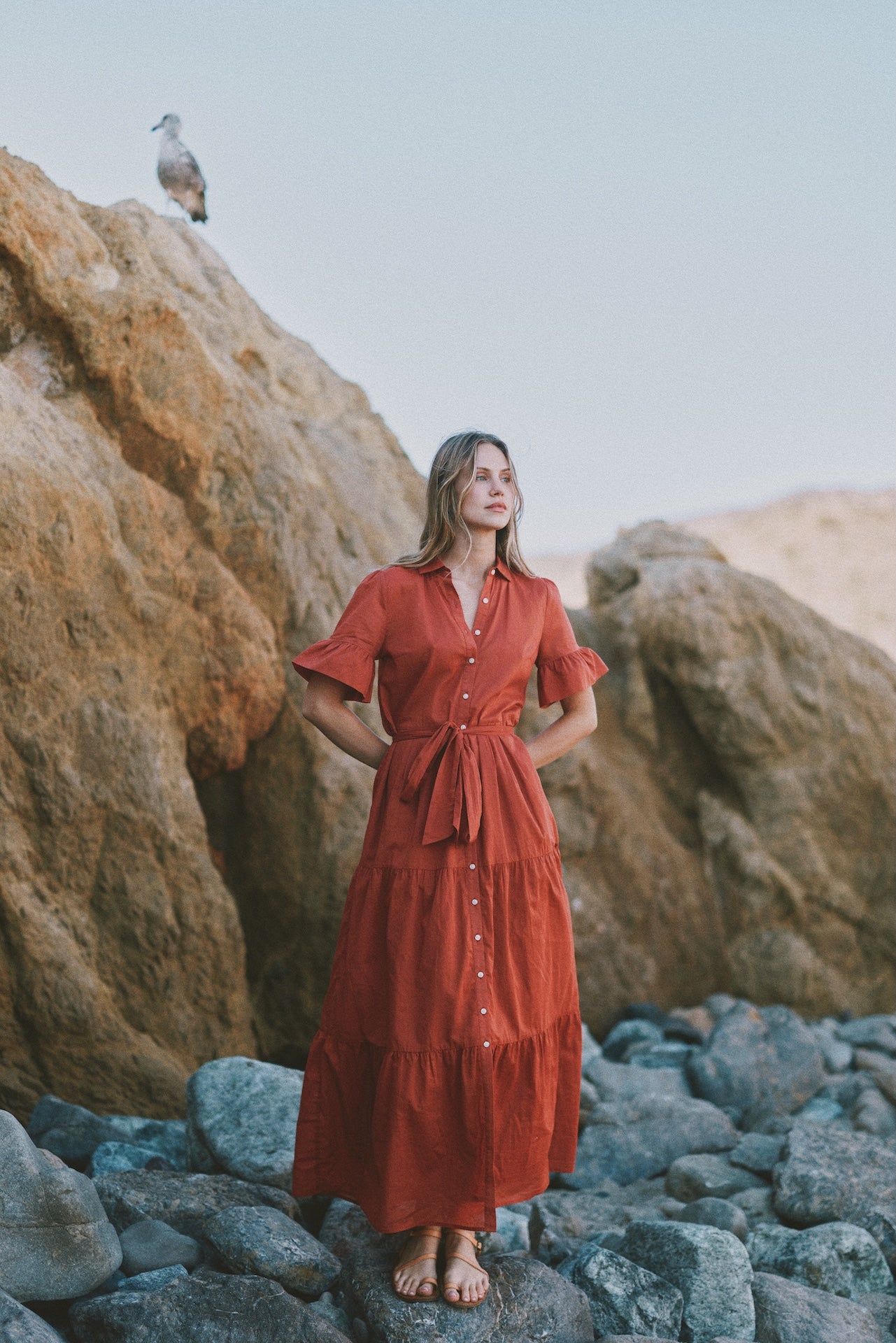 Martine Dress Rusty Orange