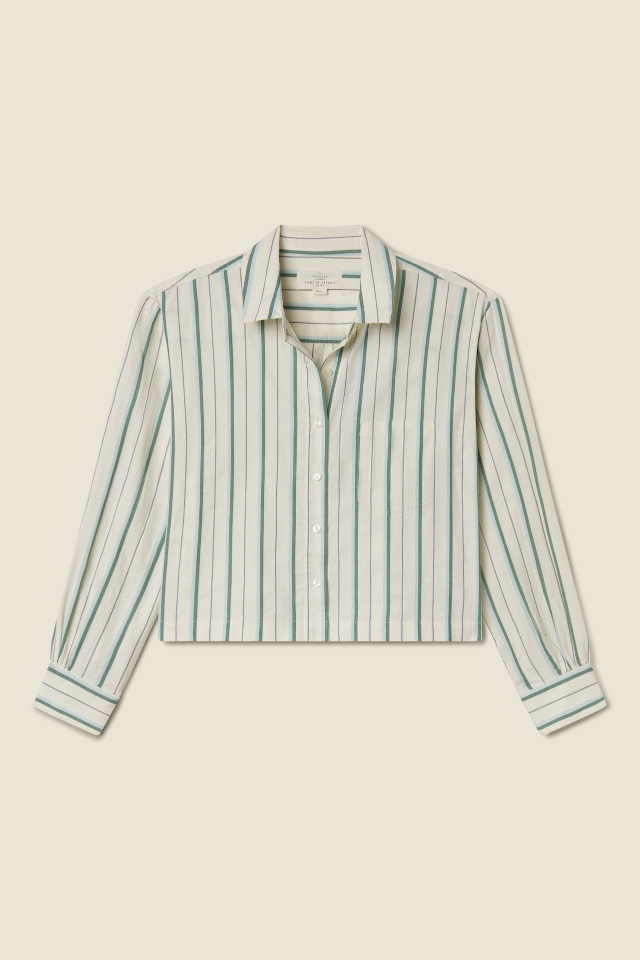 Nessa Shirt Verde Stripes