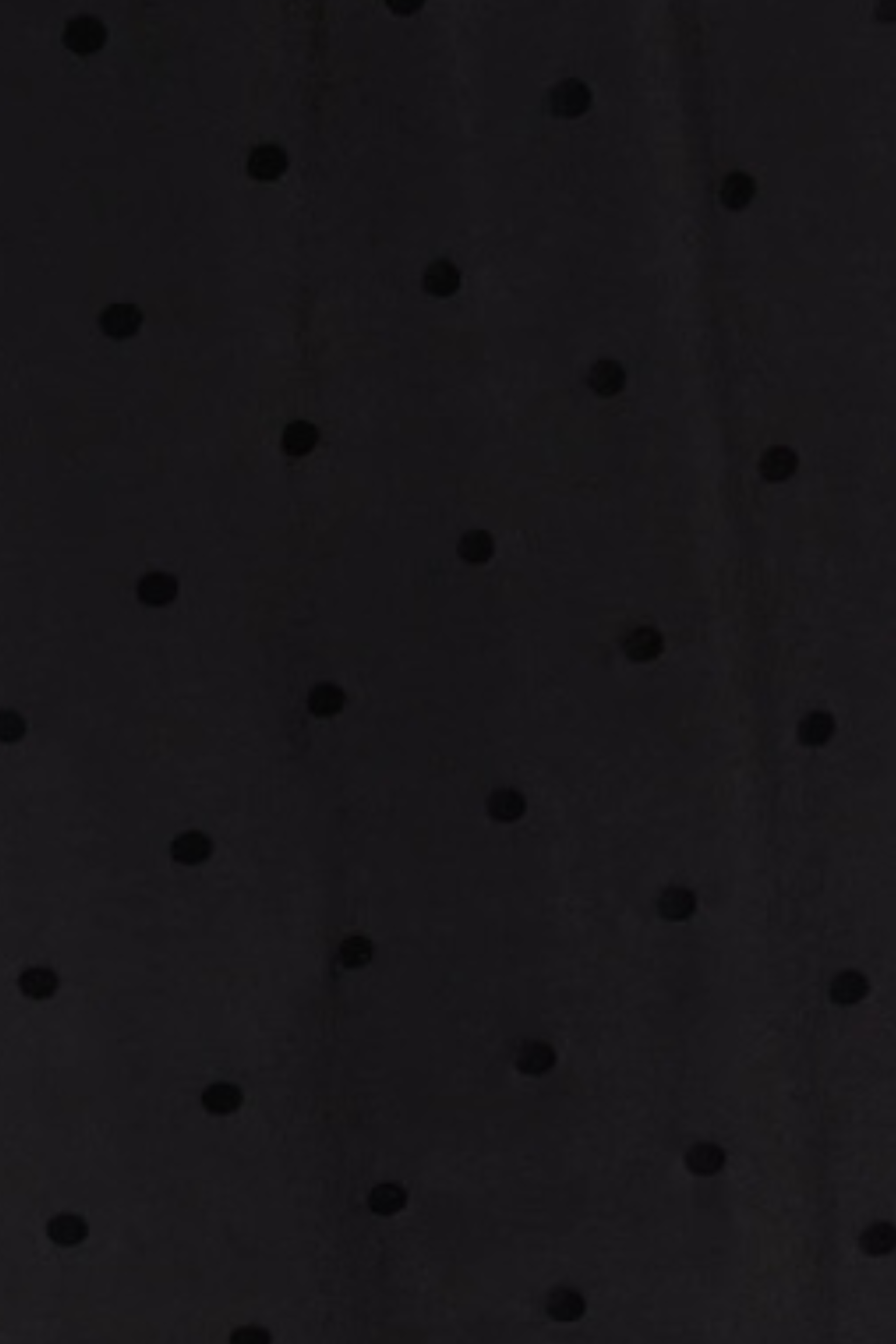 Vera Pant Black Polka Dots