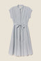 James Dress Blue Oxford Stripe