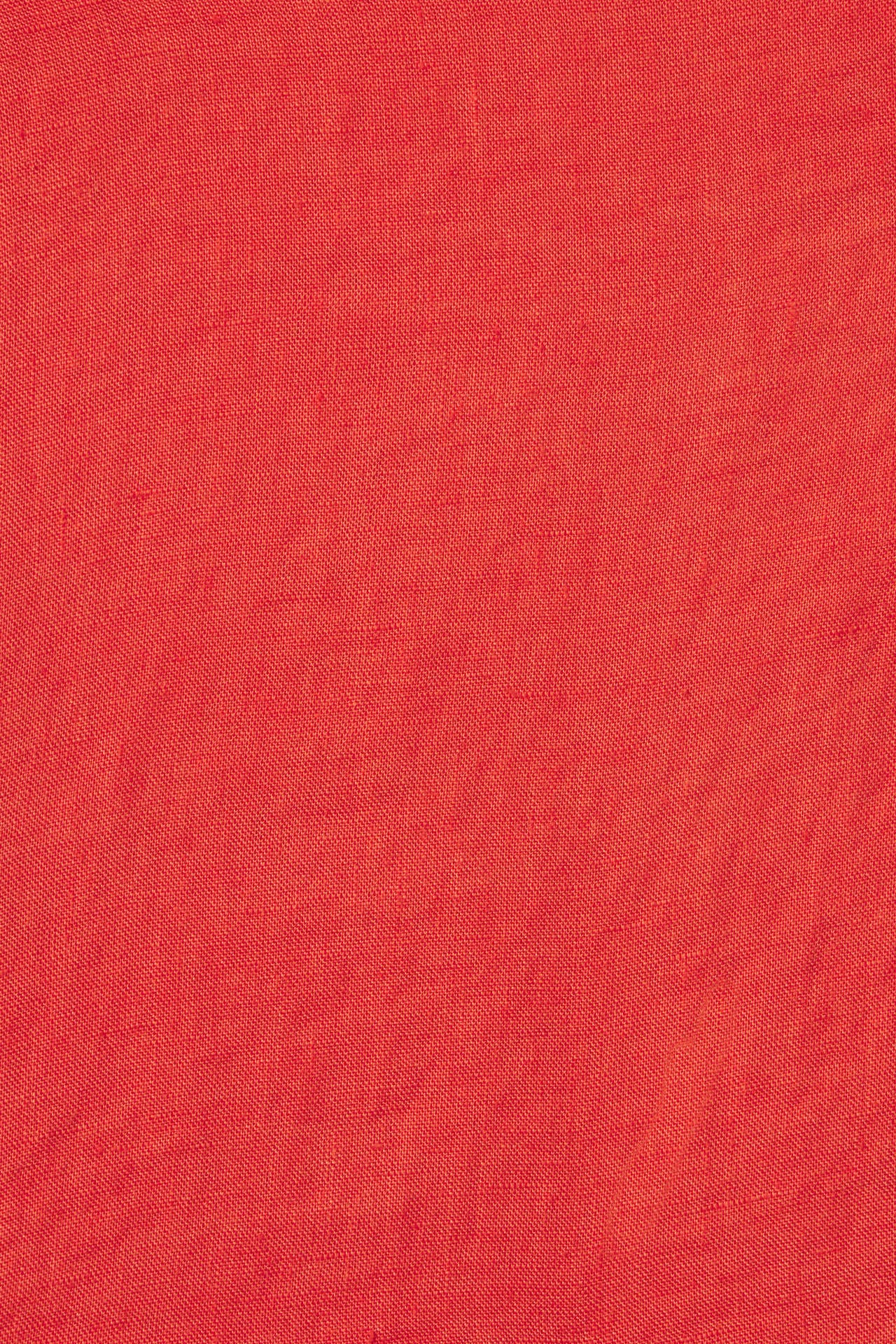 Vera Pant Dried Apricot