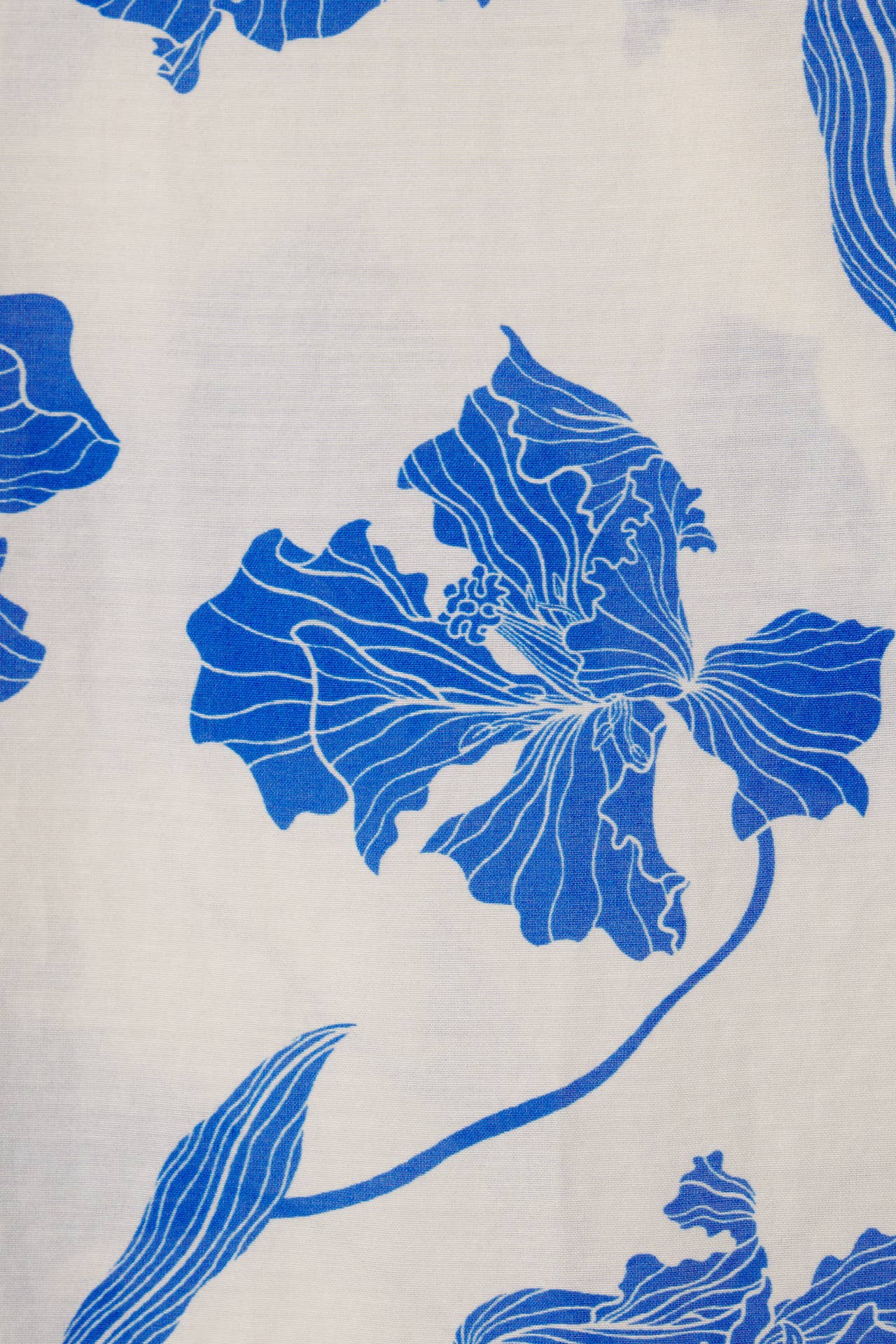 Summer Top Blue Iris