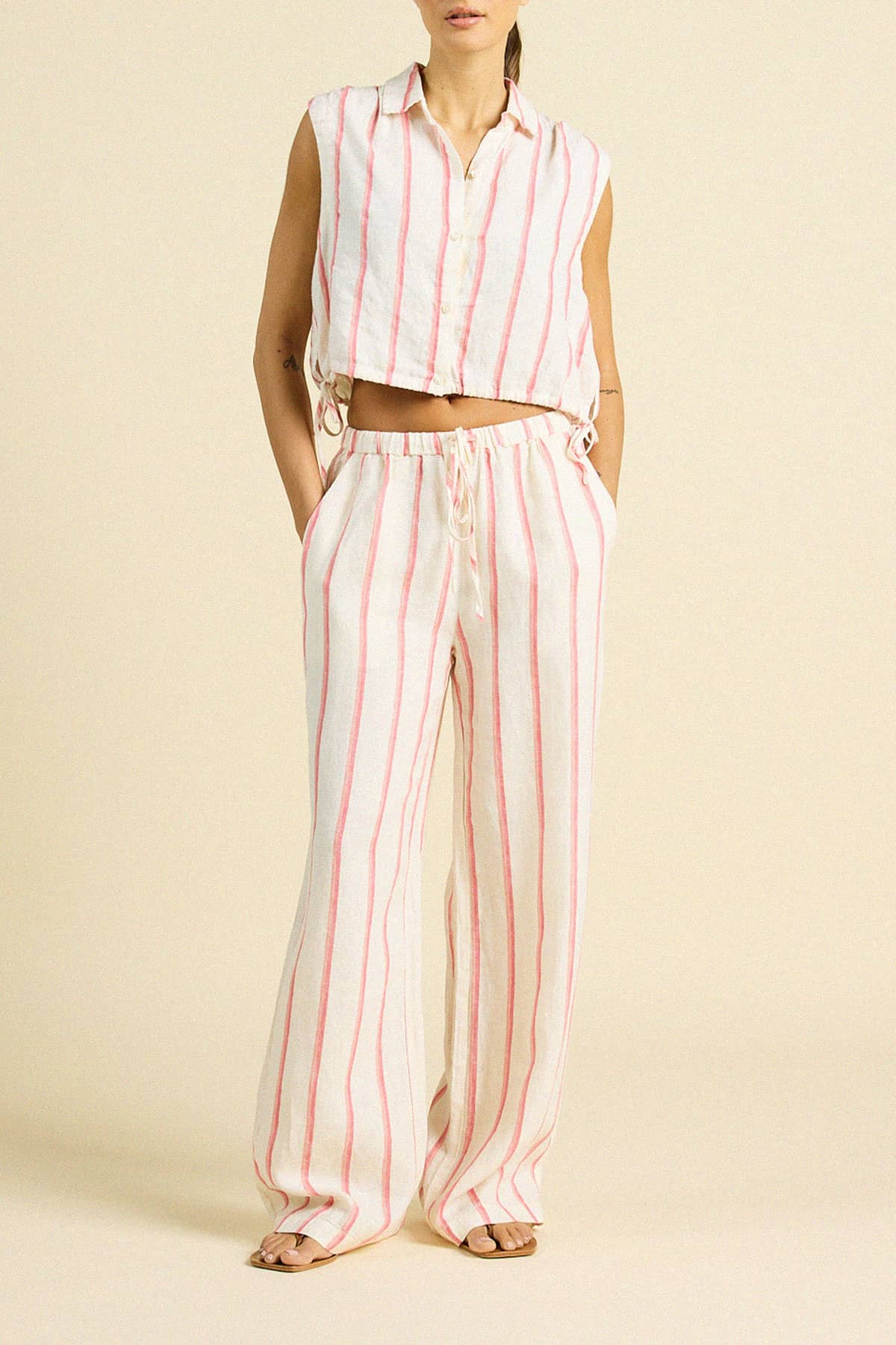 Ivy Shirt Pomme Stripe