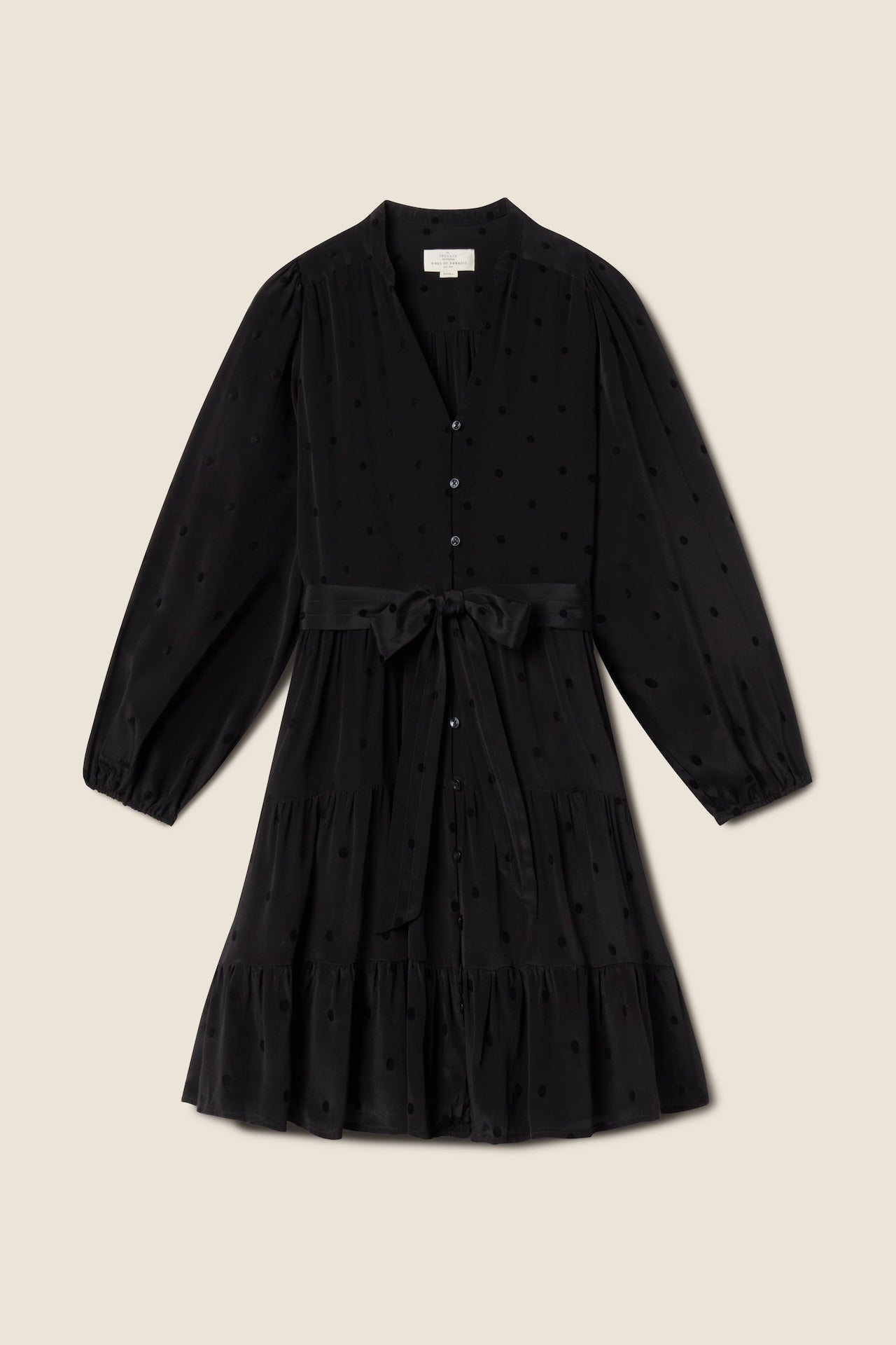 Celeste Dress Black Polka Dots