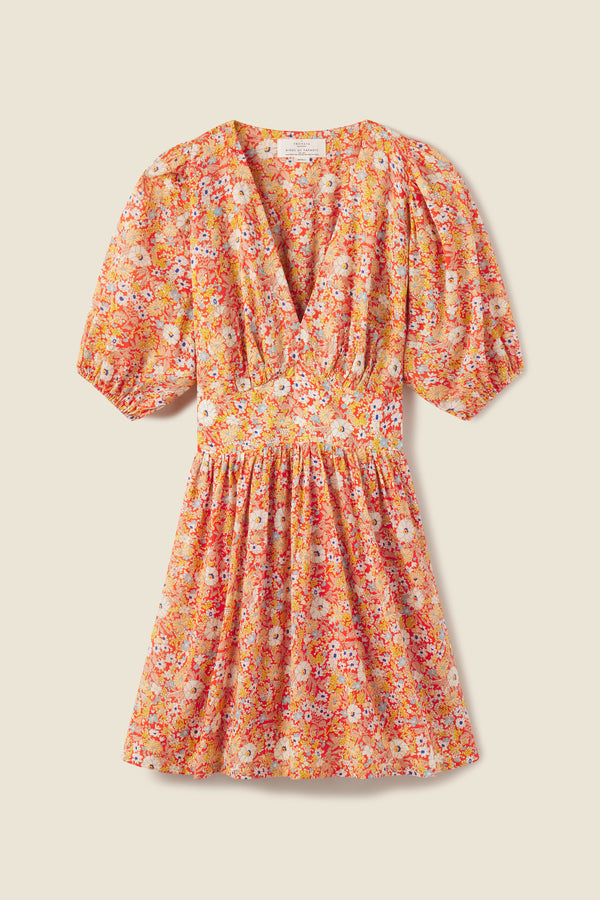 Gia Dress Autumn Fields