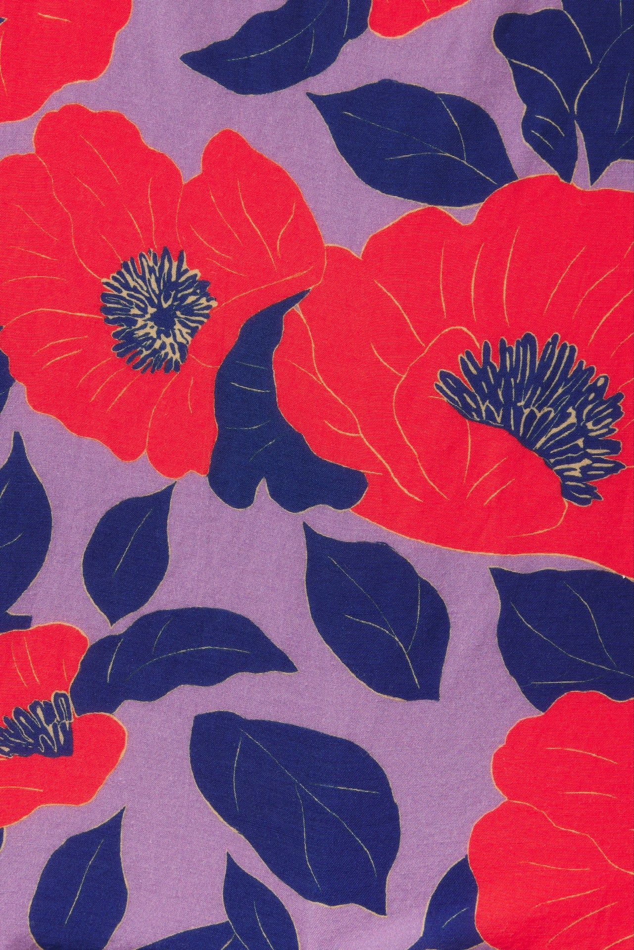 Flores Culotte Poincianna Floral