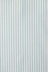 Sara "B" Henley Shirt Aquifer Stripe