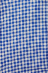 Phoebe Dress Cobalt Check